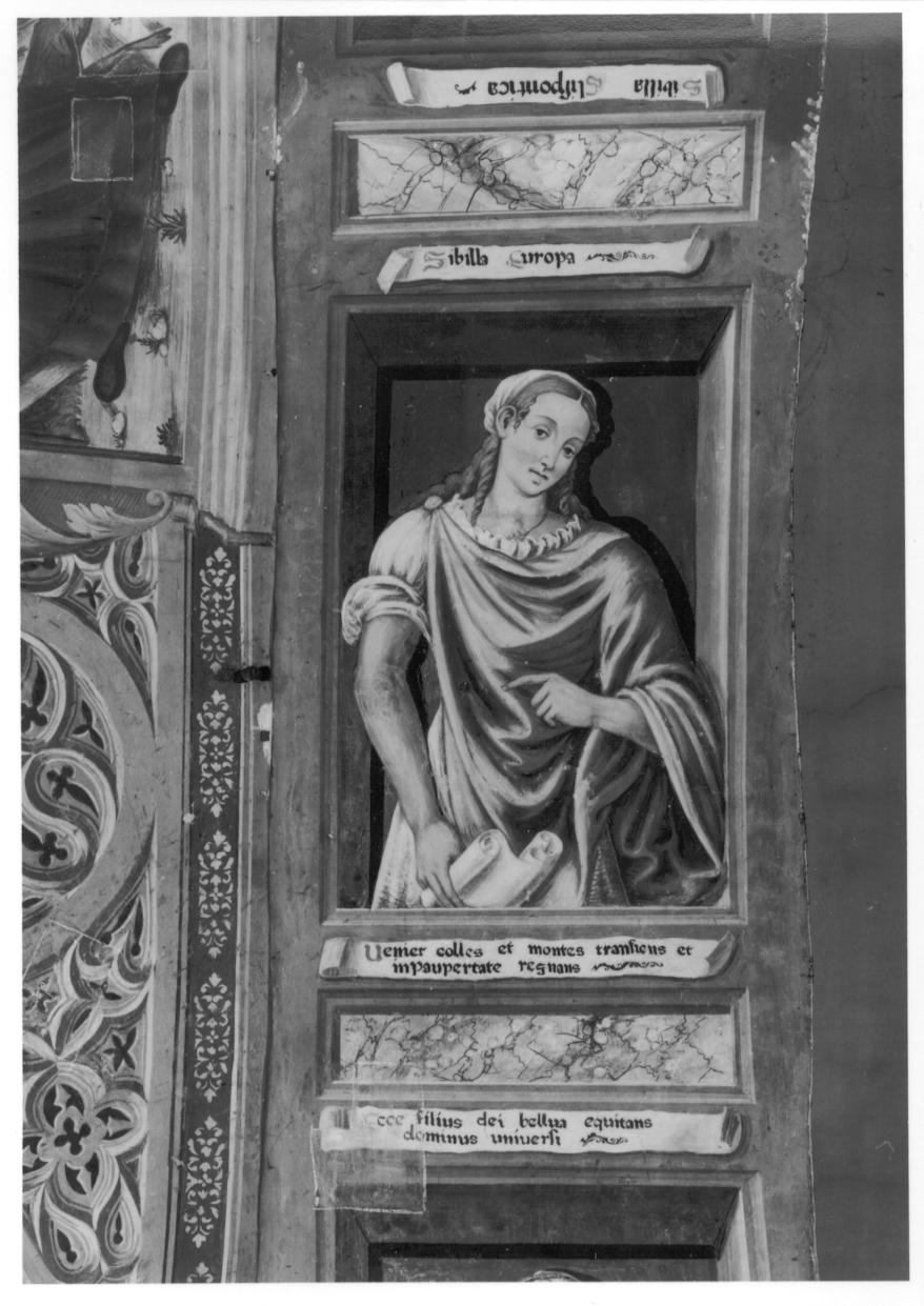 Sibilla Europea (dipinto, elemento d'insieme) di Giacomo da Cardone (metà sec. XVI)