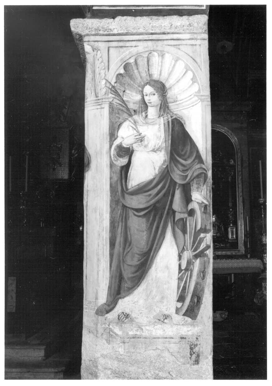 Santa Caterina d'Alessandria (dipinto, opera isolata) di Giacomo da Cardone (metà sec. XVI)