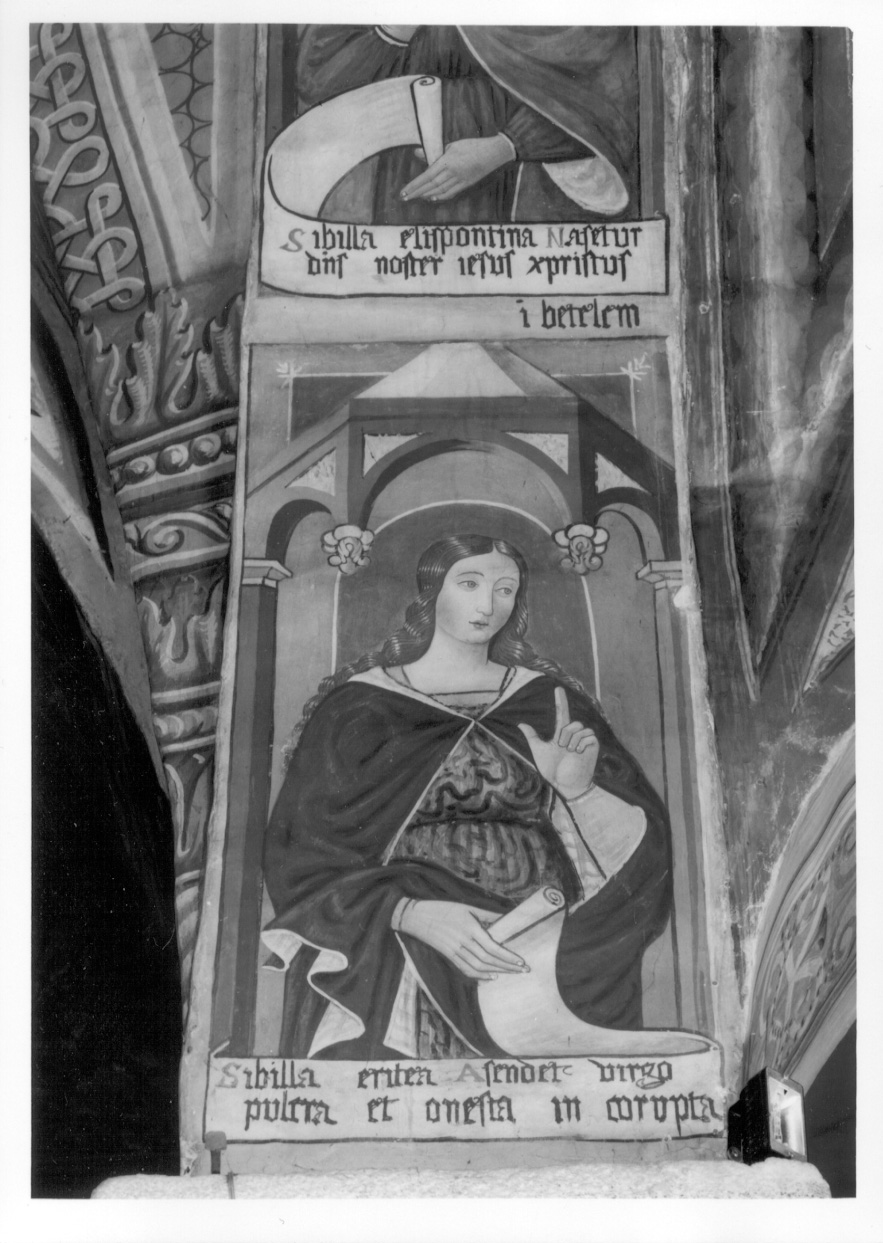 Sibilla Eritrea (dipinto, elemento d'insieme) di Cagnola Francesco (primo quarto sec. XVI)