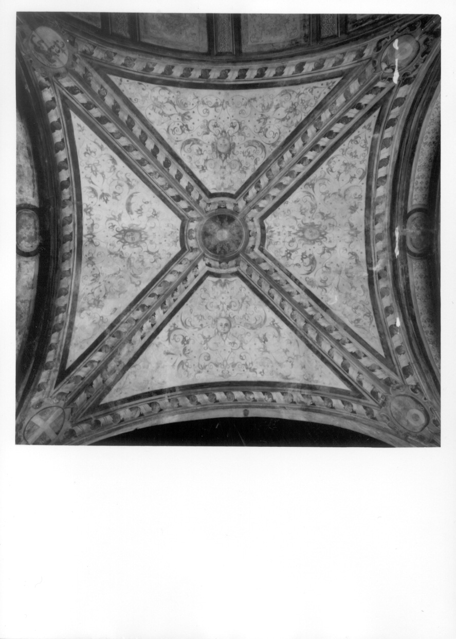 motivi decorativi vegetali, mascheroni e stemmi gentilizi (dipinto, complesso decorativo) di Giacomo da Cardone (terzo quarto sec. XVI)