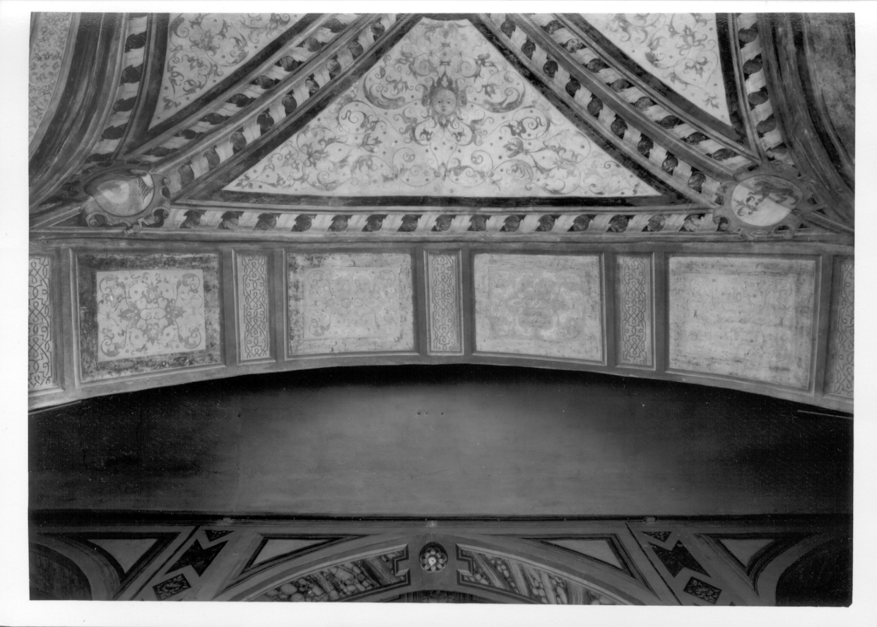 motivi decorativi vegetali (dipinto, opera isolata) di Giacomo da Cardone (terzo quarto sec. XVI)