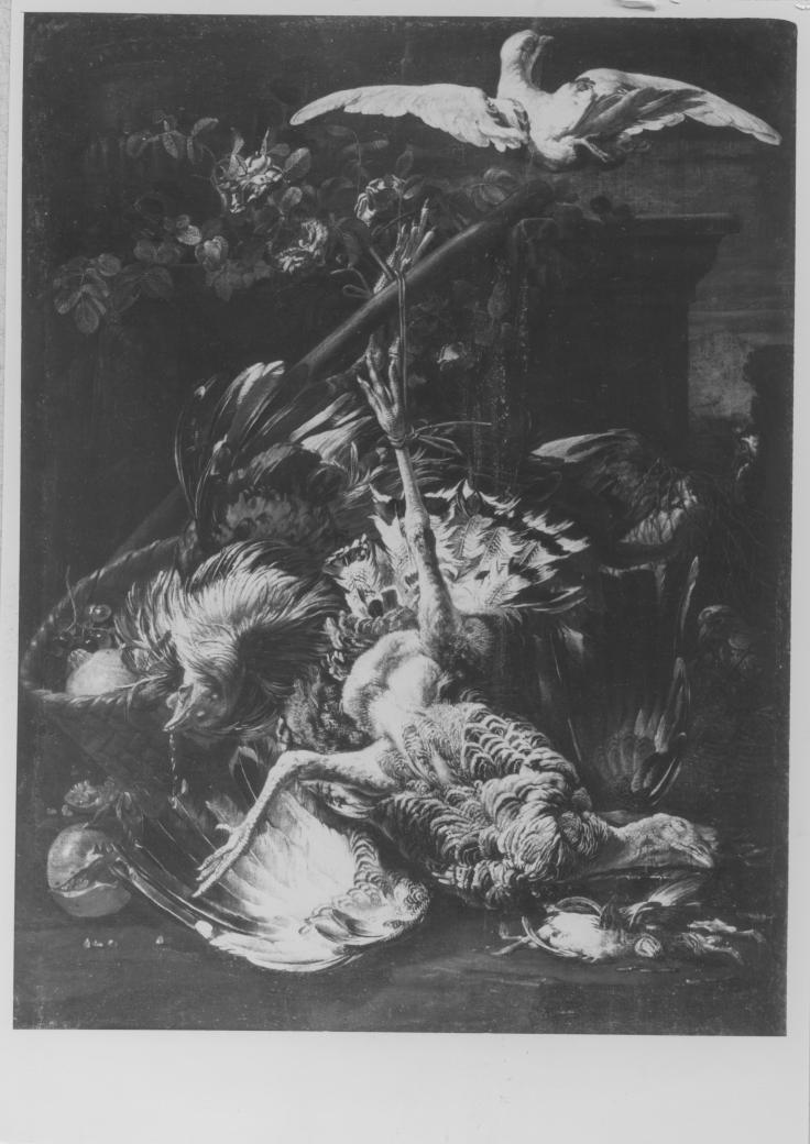 Natura morta con cacciagione (dipinto) di De Caro Baldassarre (attribuito) (secondo quarto sec. XVIII)