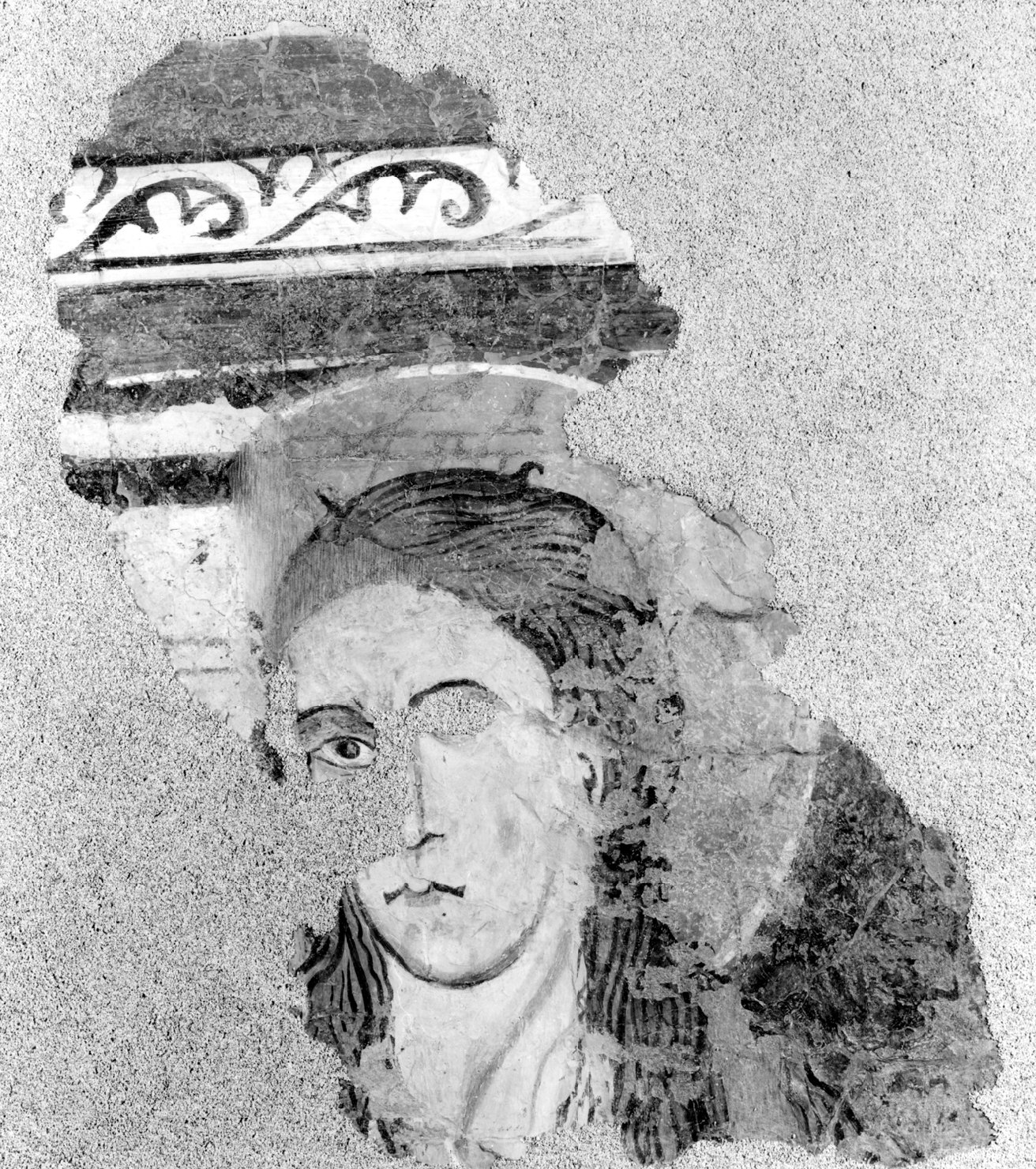 testa di santo (dipinto, frammento) - ambito emiliano (terzo quarto sec. XIII)