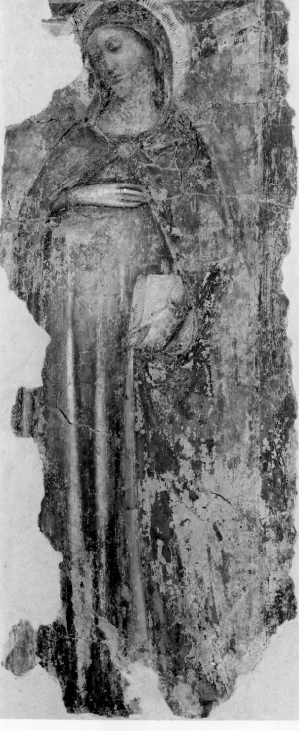 Madonna delle gravide o Madonna delle grazie, Madonna (dipinto) - ambito bolognese (seconda metà sec. XIV)