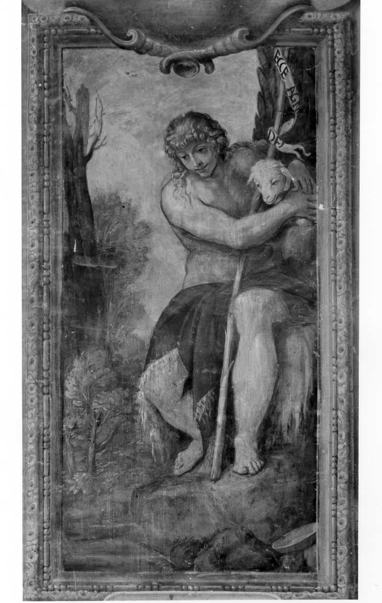 San Giovanni Battista (dipinto) di Brizio Francesco (sec. XVII)
