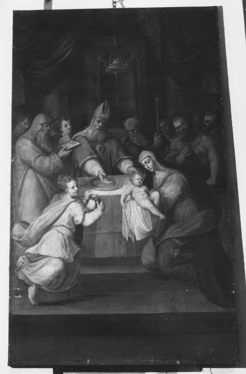 Presentazione di Gesù al tempio (dipinto, opera isolata) - ambito bolognese (prima metà sec. XVI)