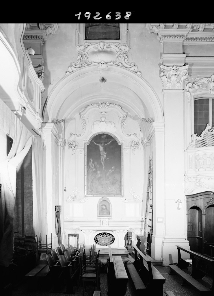 motivo decorativo vegetale (decorazione plastica, complesso decorativo) di Canepa Giovan Battista (sec. XVIII)