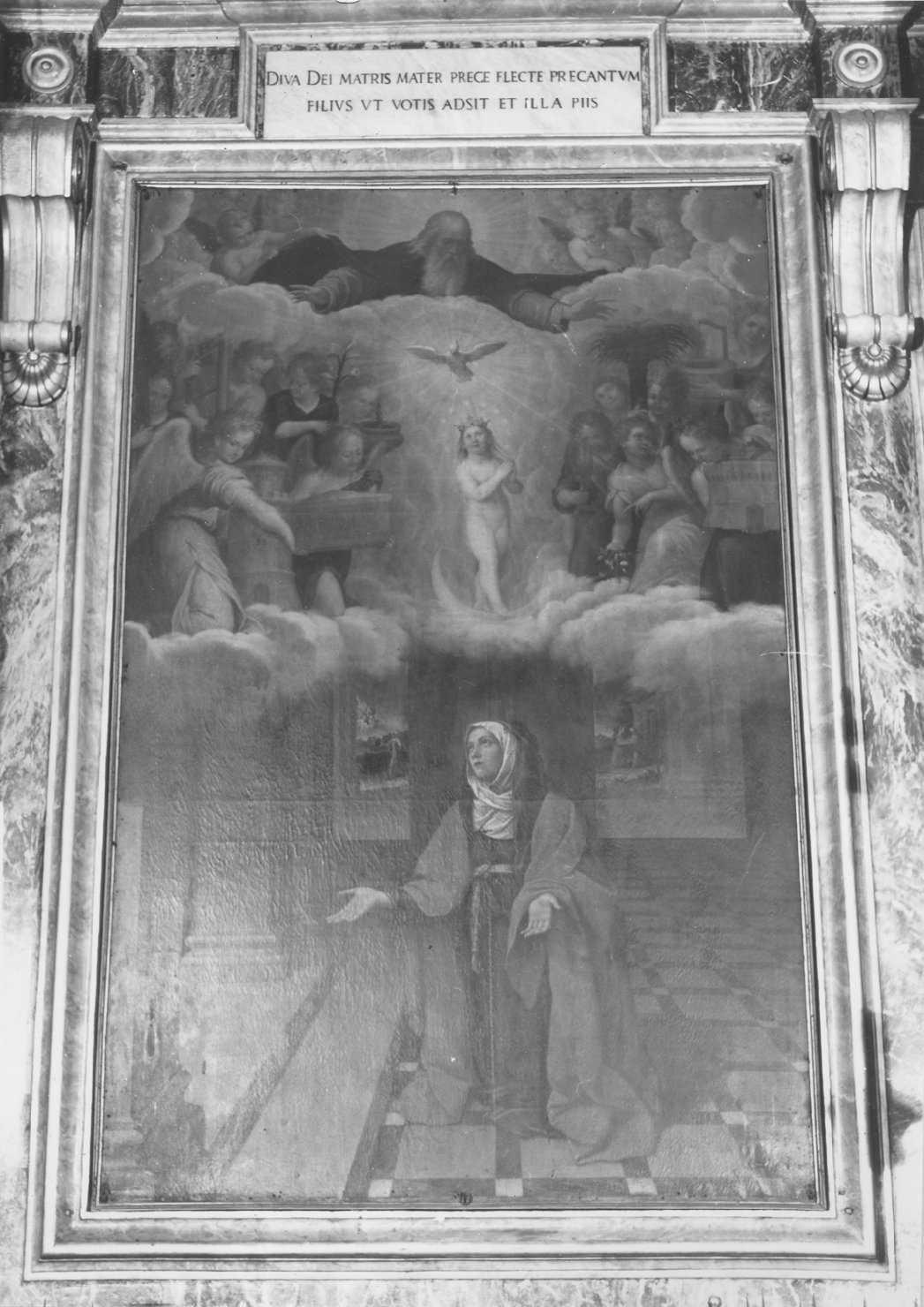 Sant'Anna e l'Immacolata Concezione (dipinto) di Cesi Bartolomeo (sec. XVII)