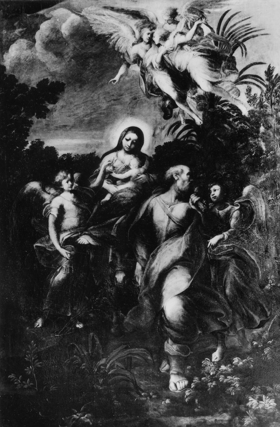 fuga in Egitto (dipinto) di Donducci Giovanni Andrea detto Mastelletta (sec. XVII)