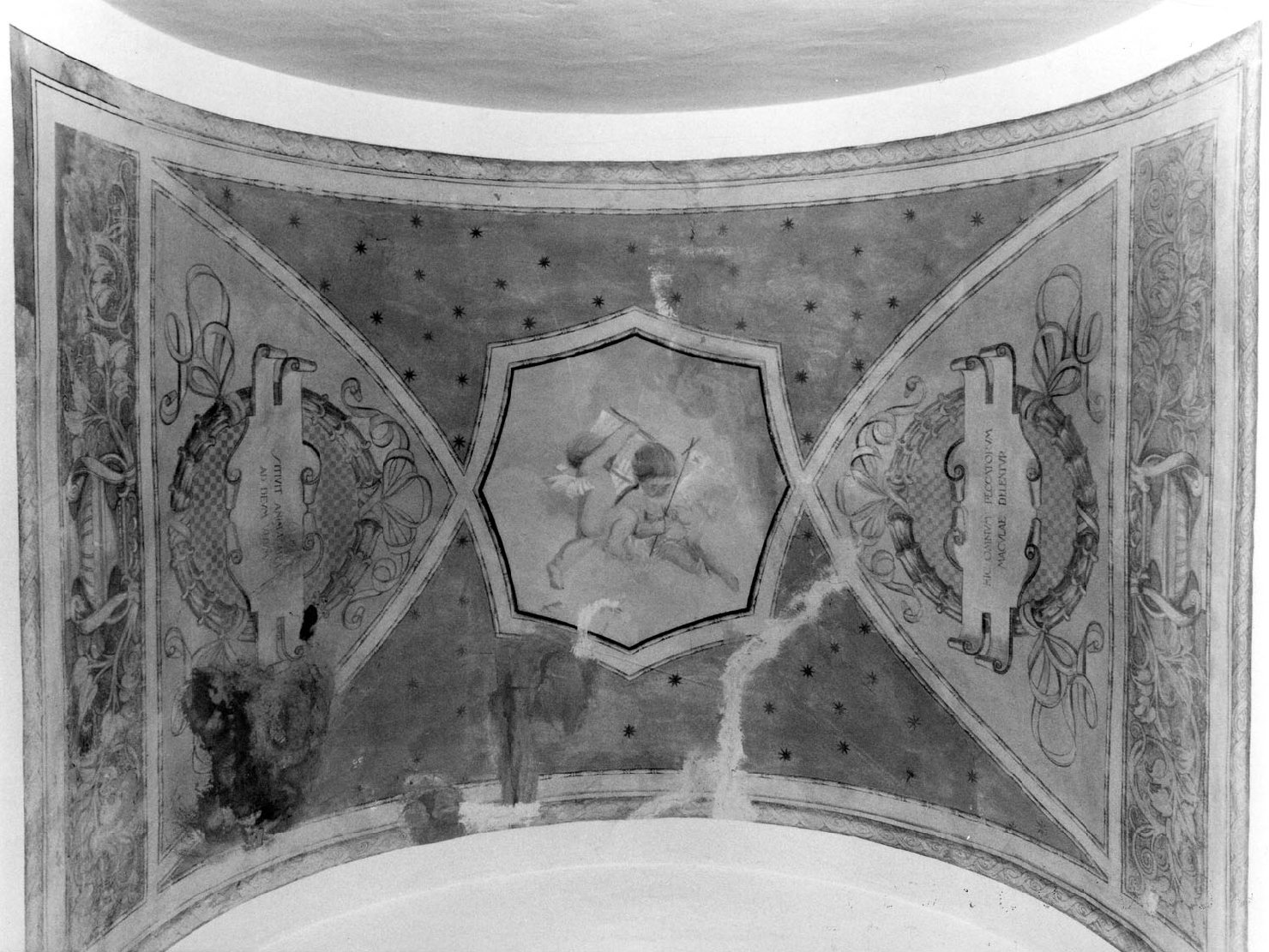 motivi decorativi (decorazione pittorica) - ambito emiliano (primo quarto sec. XX)