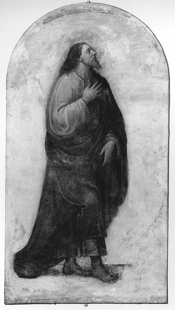 San Giacomo Minore (dipinto, elemento d'insieme) di Ramenghi Bartolomeo detto Bagnacavallo (attribuito) (prima metà sec. XVI)