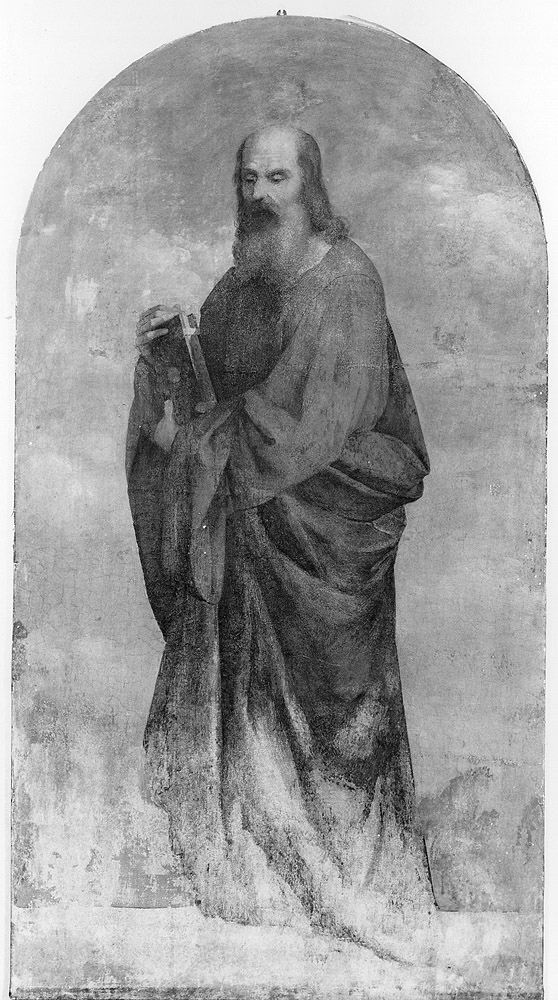 Sant'Andrea Apostolo (dipinto, elemento d'insieme) di Ramenghi Bartolomeo detto Bagnacavallo (attribuito) (prima metà sec. XVI)