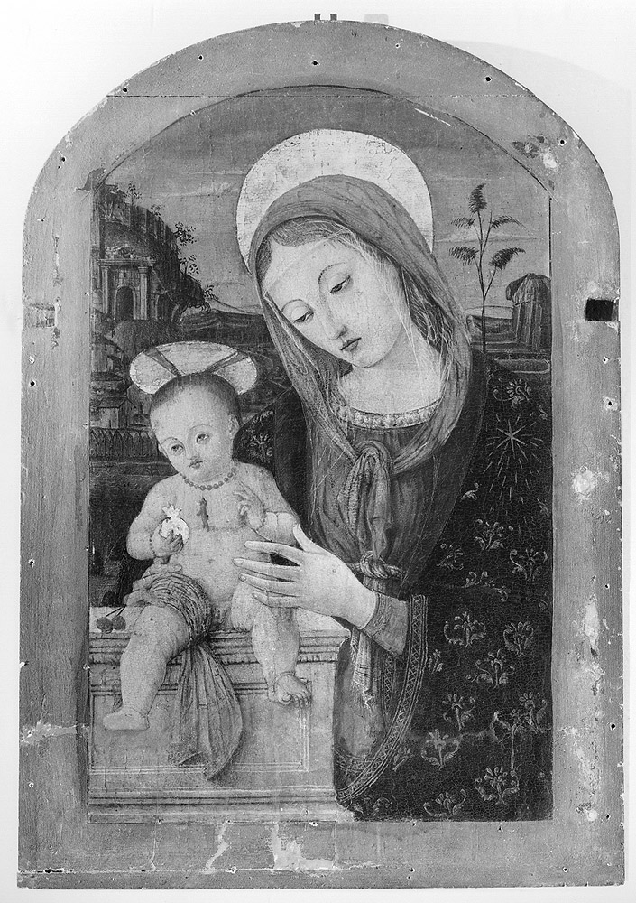 Madonna della ciliegia, Madonna con Bambino (dipinto) - ambito umbro (ultimo quarto sec. XV)