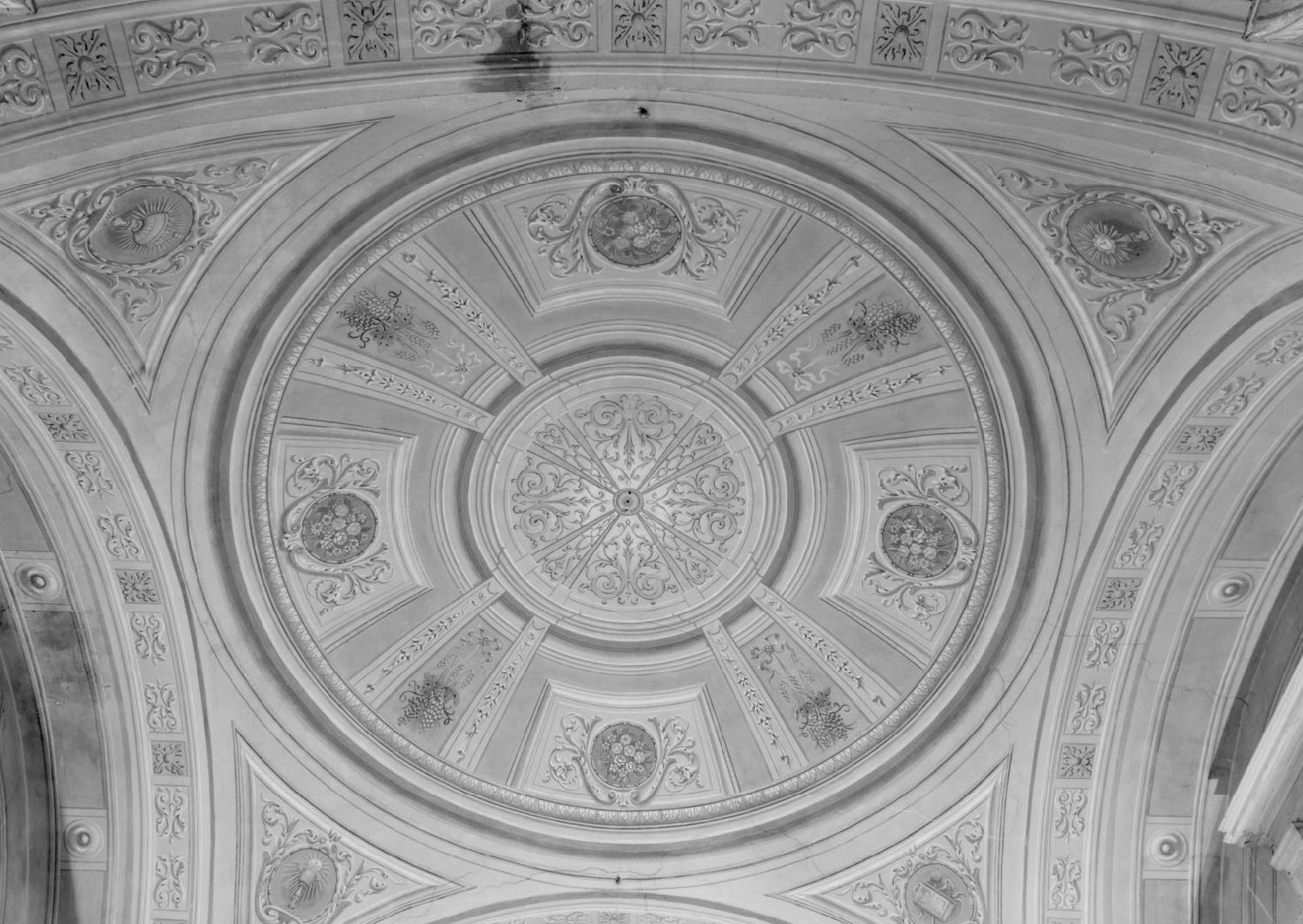 motivi decorativi vegetali (decorazione pittorica) - ambito emiliano (sec. XX)