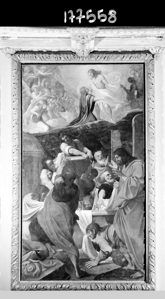 Assunzione della Madonna (dipinto) di Carracci Ludovico (sec. XVII)