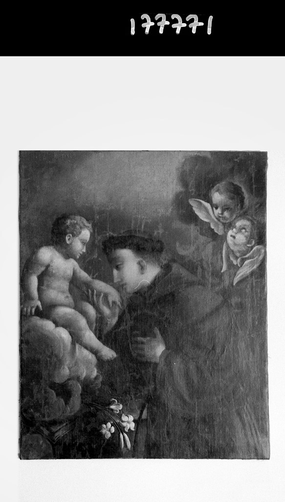 Sant'Antonio da Padova (dipinto) - ambito bolognese (prima metà sec. XVIII)