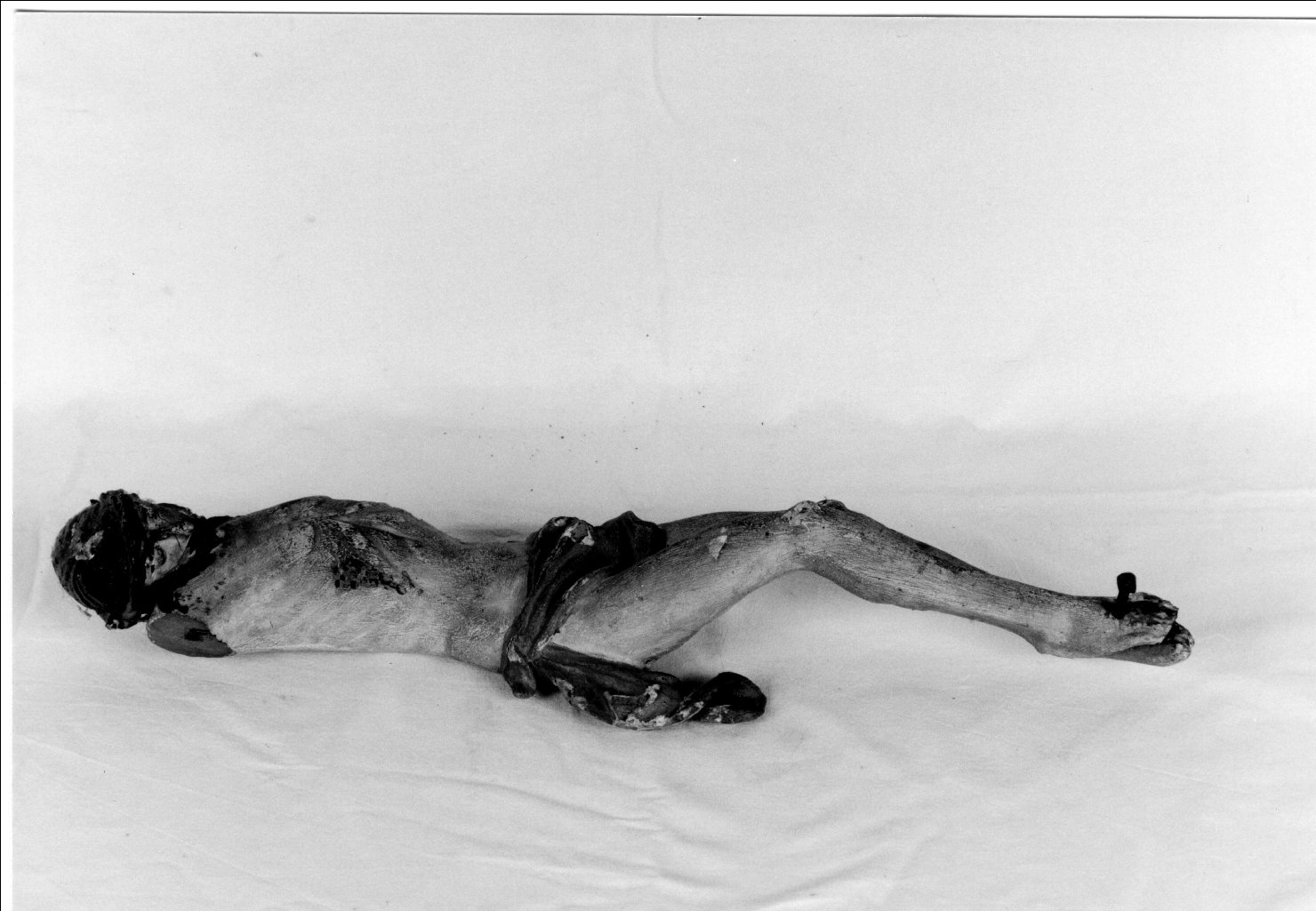 Cristo crocifisso (scultura, frammento) - manifattura ferrarese (secc. XVIII/ XIX)