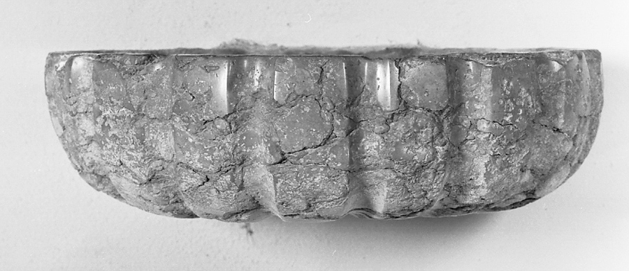 acquasantiera, serie - bottega emiliana (primo quarto sec. XX)