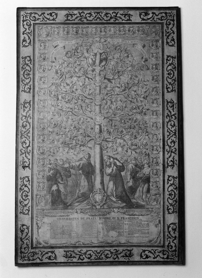 albero genealogico dell'ordine francescano (incisione) - ambito milanese (sec. XVIII)