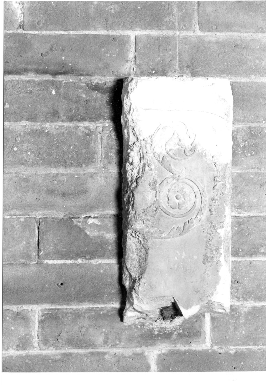 motivi decorativi a foglie d'acanto (rilievo, frammento) - manifattura romana (?) (fine/inizio secc. III/ IV)