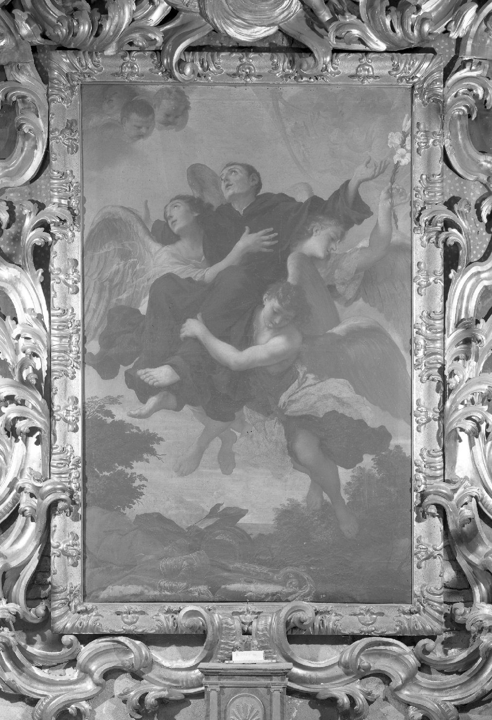 San Filippo Benizi portato dagli angeli (dipinto) di Viani Domenico Maria (sec. XVII)