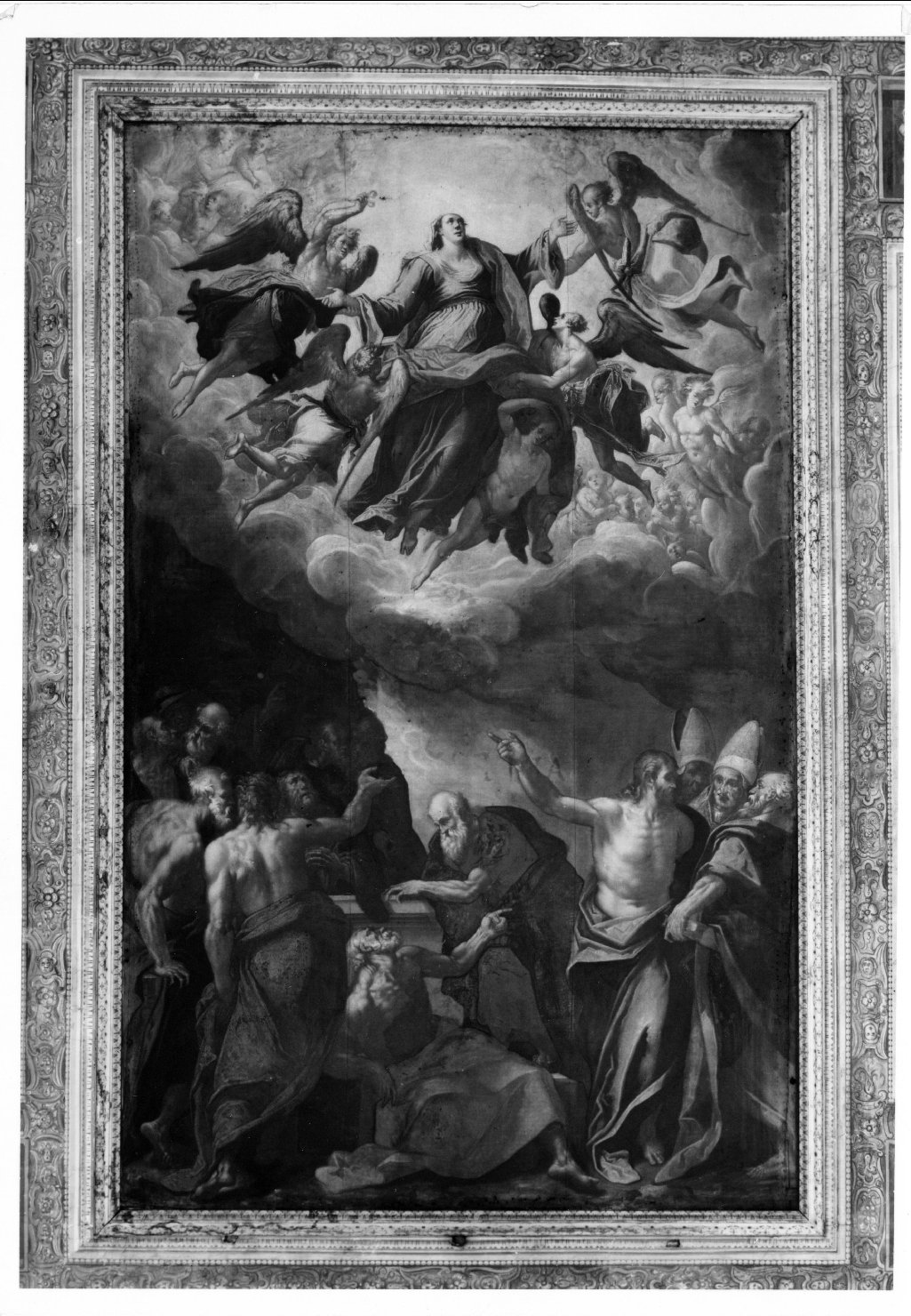 assunzione della Madonna (dipinto) di Monio Domenico (sec. XVI)