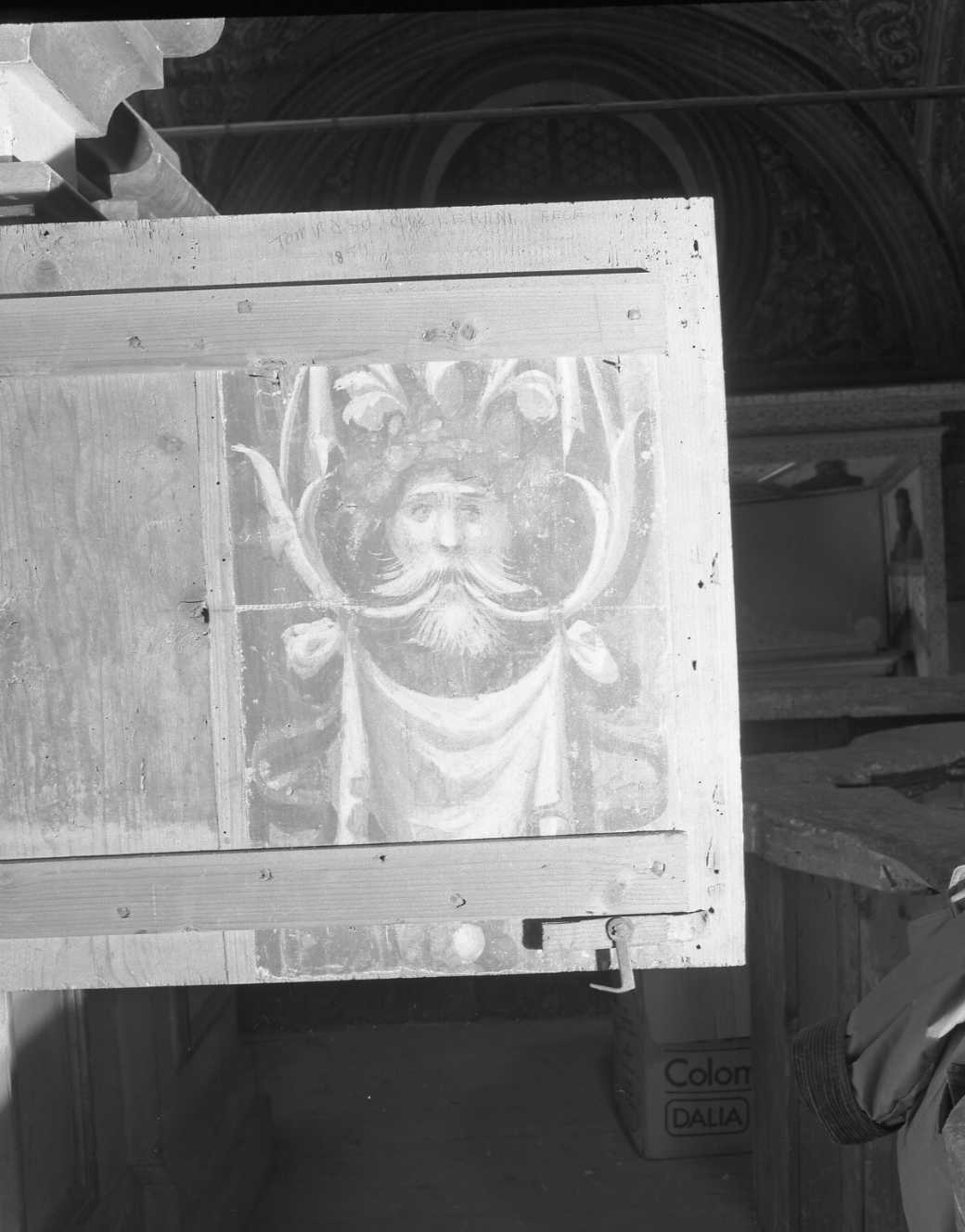 grottesche (dipinto, frammento) di Bonaccioli Gabriele detto Gabrieletto (sec. XVI)