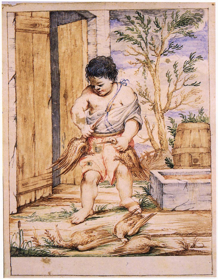 Bertoldino lega alla cintura le oche ubriache (disegno) di Crespi Giuseppe Maria detto Spagnolo (sec. XVIII)