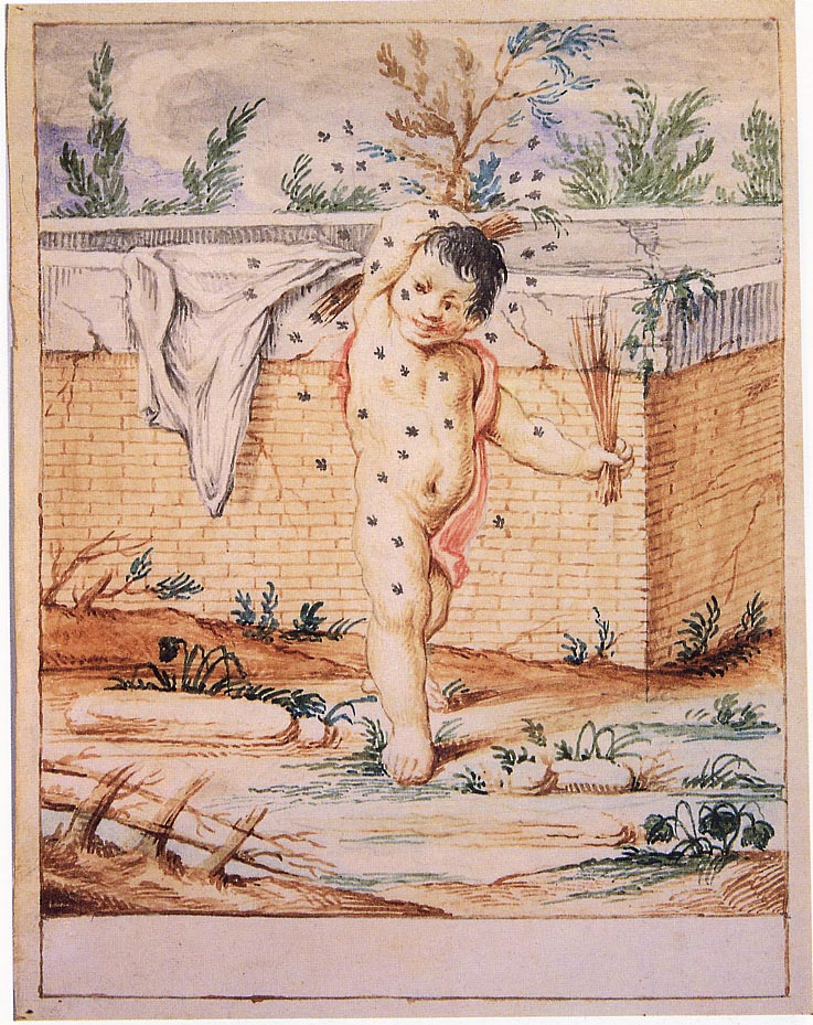 Bertoldino si flagella per cacciare le mosche (disegno) di Crespi Giuseppe Maria detto Spagnolo (sec. XVIII)