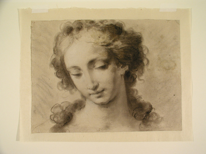 testa di giovane donna (disegno) di Guarana Jacopo (terzo quarto sec. XVIII)