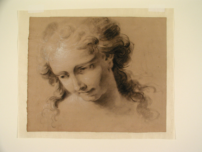 testa di angelo (disegno) di Guarana Jacopo (terzo quarto sec. XVIII)