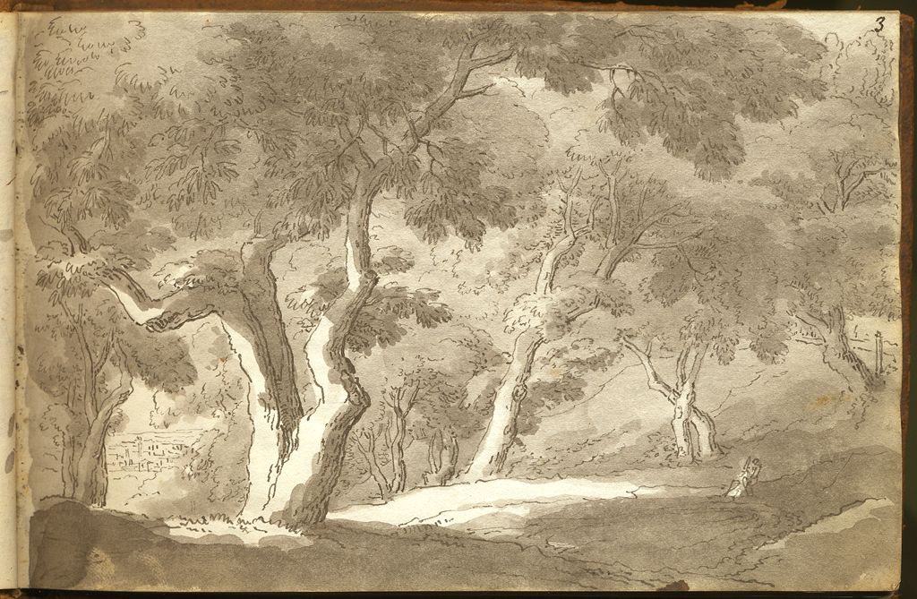 veduta dela vallone del sig. conte Marescalchi a mezza Ratta, veduta con alberi (stampa, elemento d'insieme) di Basoli Antonio (sec. XIX)