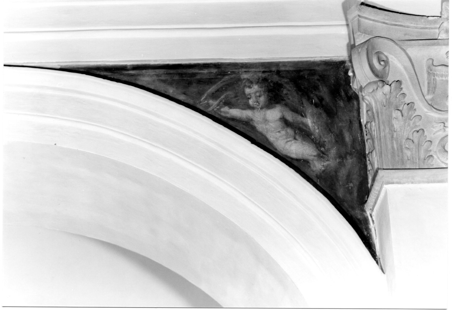 putto (dipinto) di Chiavenna Giovanni Antonio detto Zavatta (sec. XVI)