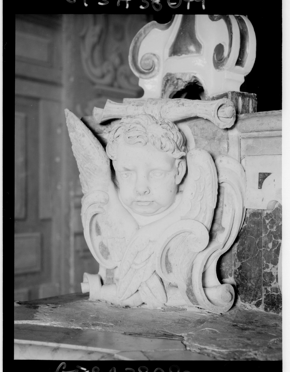 Cherubino (scultura, serie) di Ragazzini Giuseppe (attribuito) (ultimo quarto sec. XVII)