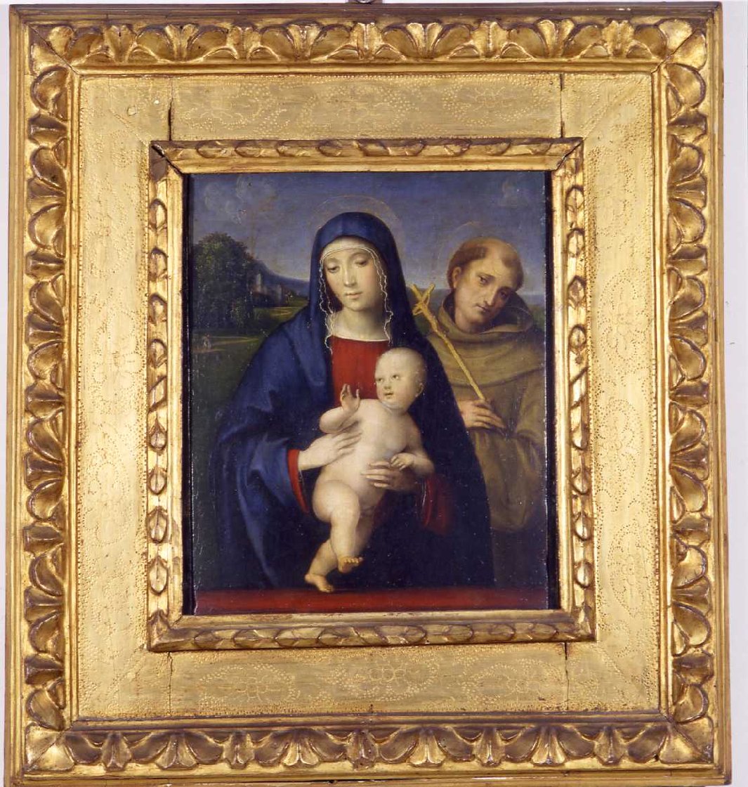 Madonna col Bambino e San Francesco (dipinto, opera isolata) di Raibolini Francesco detto Francesco Francia (sec. XVI)