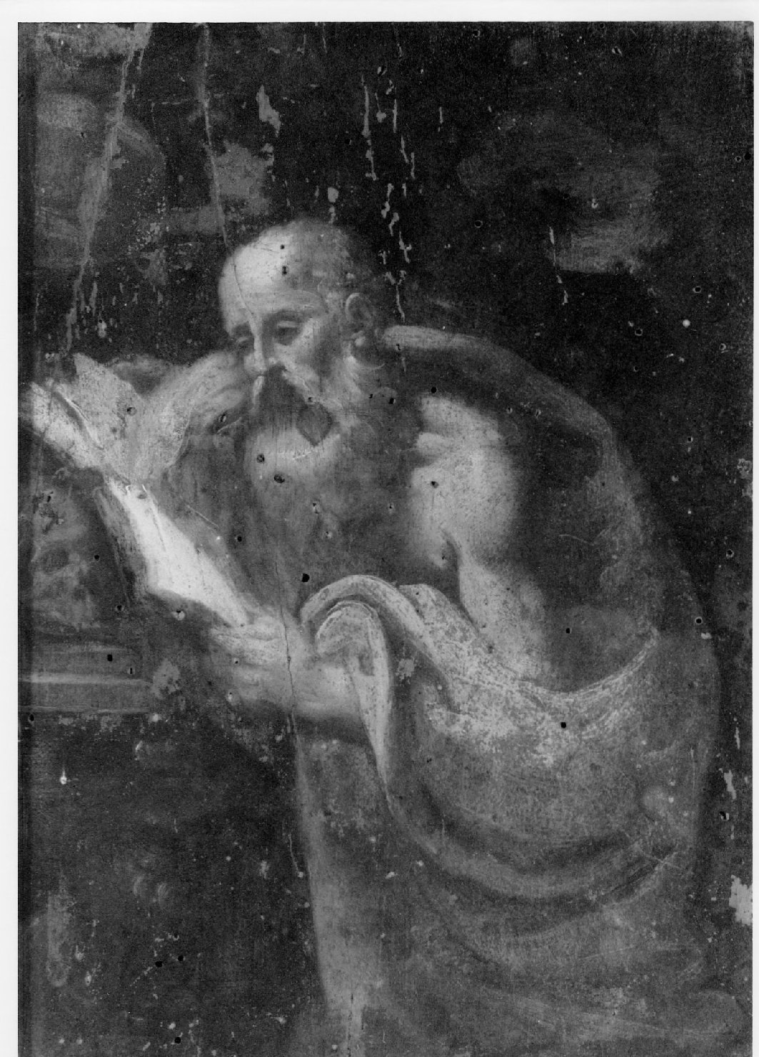 San Girolamo leggente (dipinto) - ambito emiliano (sec. XVII)