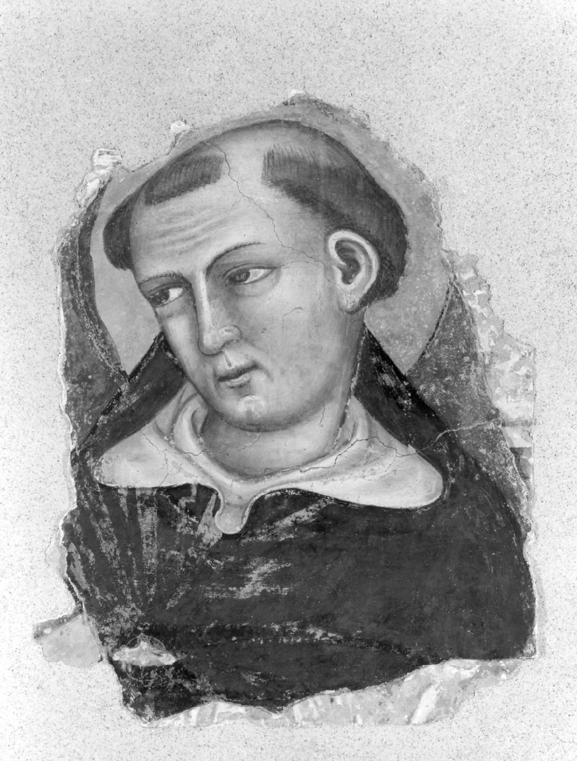 testa di San Domenico (dipinto) - ambito bolognese (seconda metà sec. XIV)