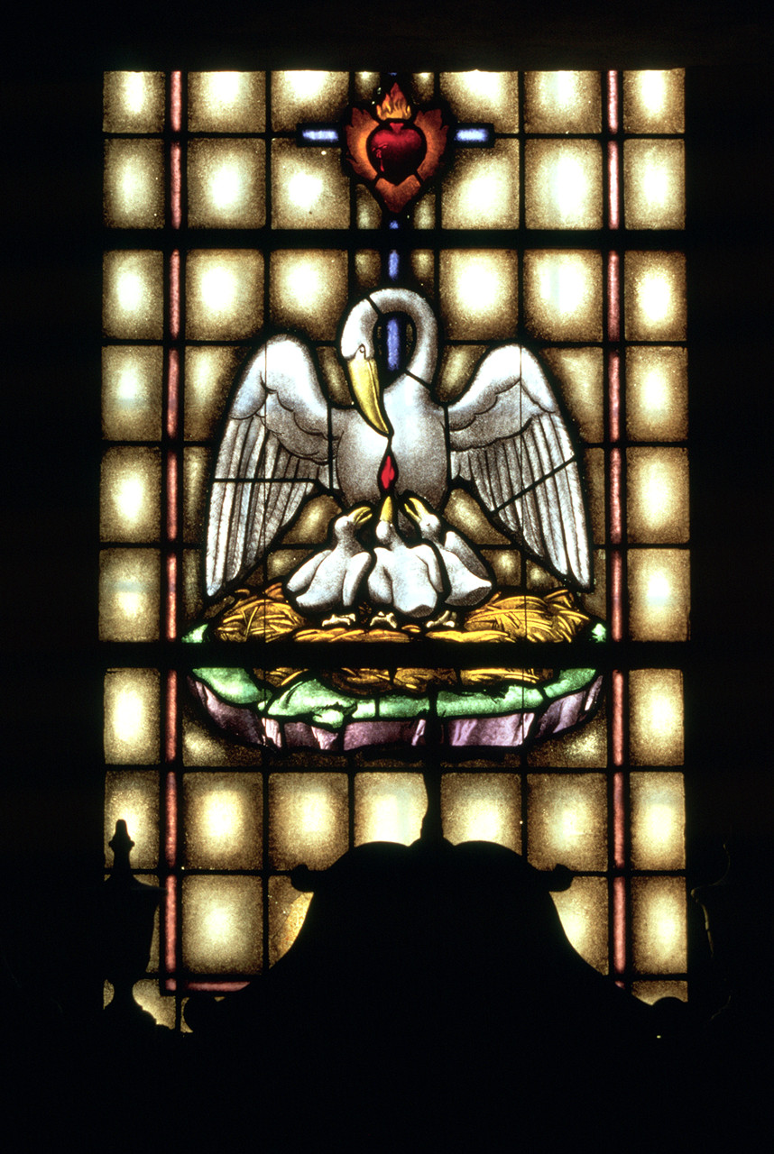 pellicano (vetrata, ciclo) - bottega ferrarese (sec. XX)