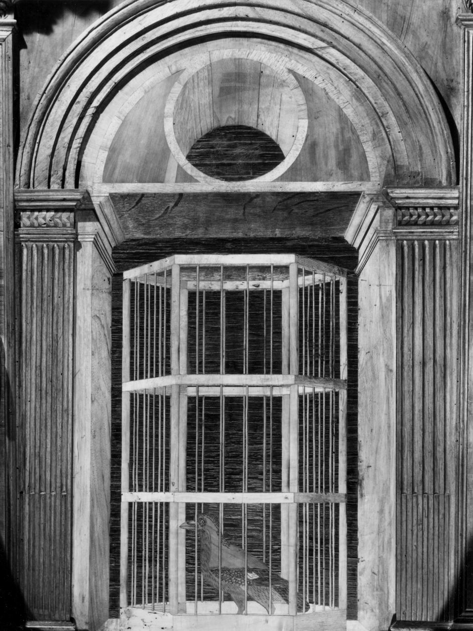 natura morta con gabbia (decorazione a intarsio, elemento d'insieme) di Sacca Paolo (sec. XVI)