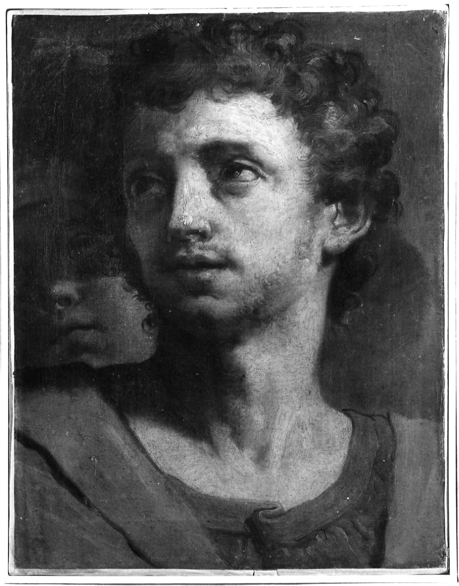 busto di giovane (dipinto, opera isolata) di Gandolfi Gaetano (attribuito) (seconda metà sec. XVIII)