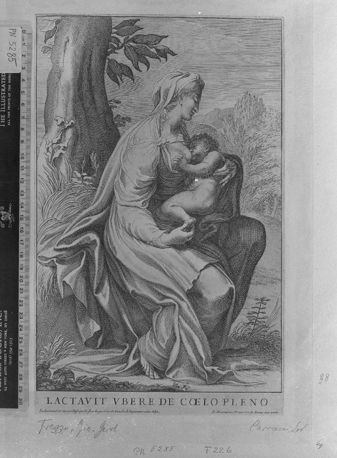 La Vergine che allatta (stampa smarginata) di Carracci Ludovico, Frezza Giovanni Gerolamo (seconda metà sec. XVII)