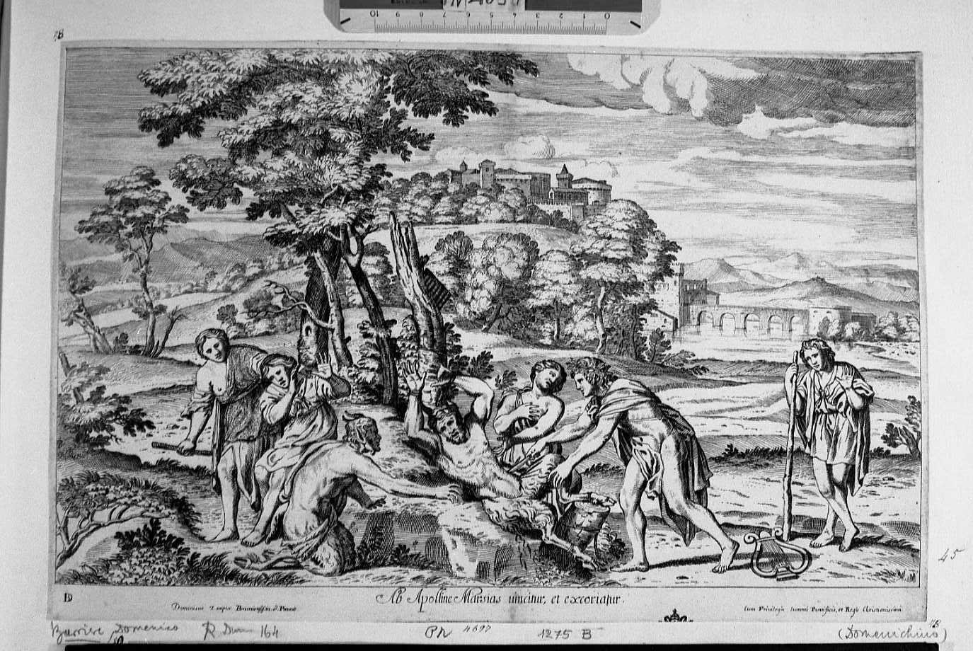Apollo che scortica Marsia (stampa tagliata) di Zampieri Domenico detto Domenichino, Barrière Dominique (seconda metà sec. XVII)
