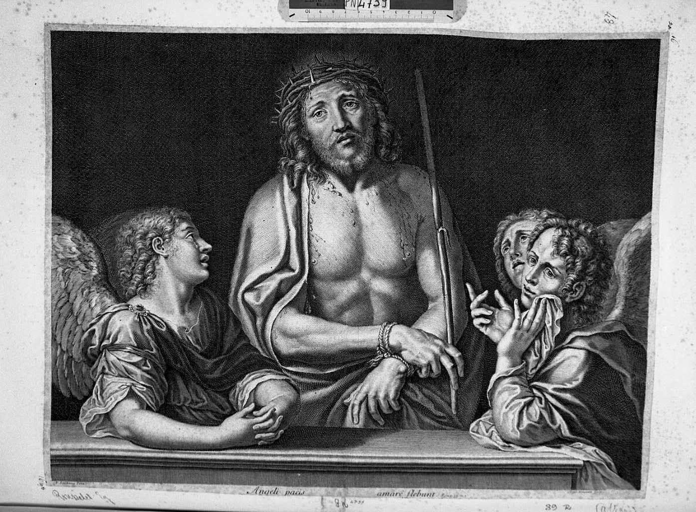 Il Nazareno coronato di spine (stampa smarginata) di Albani Francesco, Rousselet Gilles (sec. XVII)