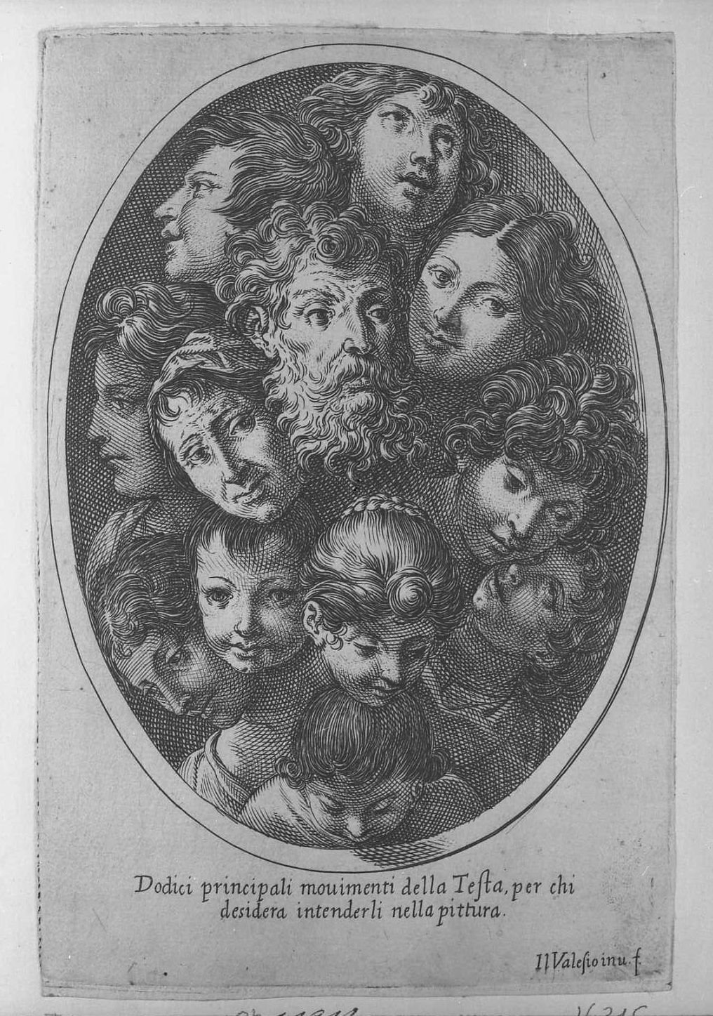 Ovale con dodici teste di uomo e bambina (stampa) di Valesio Giovanni Luigi (secc. XVI/ XVII)