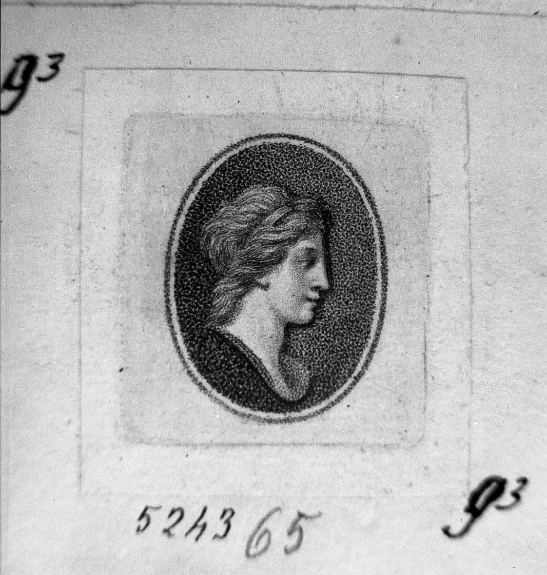 Un cammeo (stampa) di Rosaspina Francesco (secc. XVIII/ XIX)