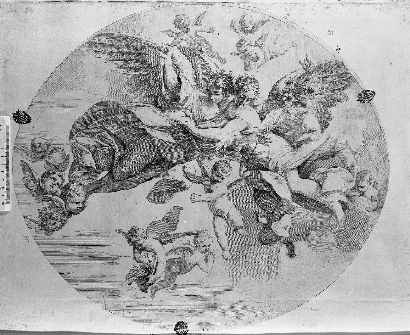 Angeli e cherubini in gloria (stampa) di Pasinelli Lorenzo, Dal Sole Giovan Gioseffo (secc. XVII/ XVIII)