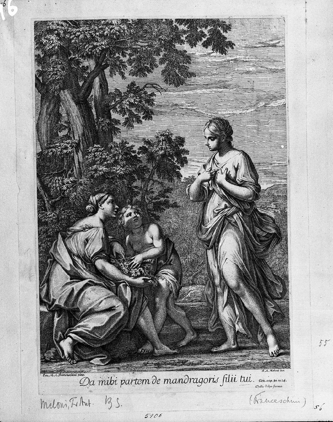 Rachele in cerca della mandragola (stampa tagliata) di Meloni Francesco Antonio, Franceschini Marcantonio (secc. XVII/ XVIII)