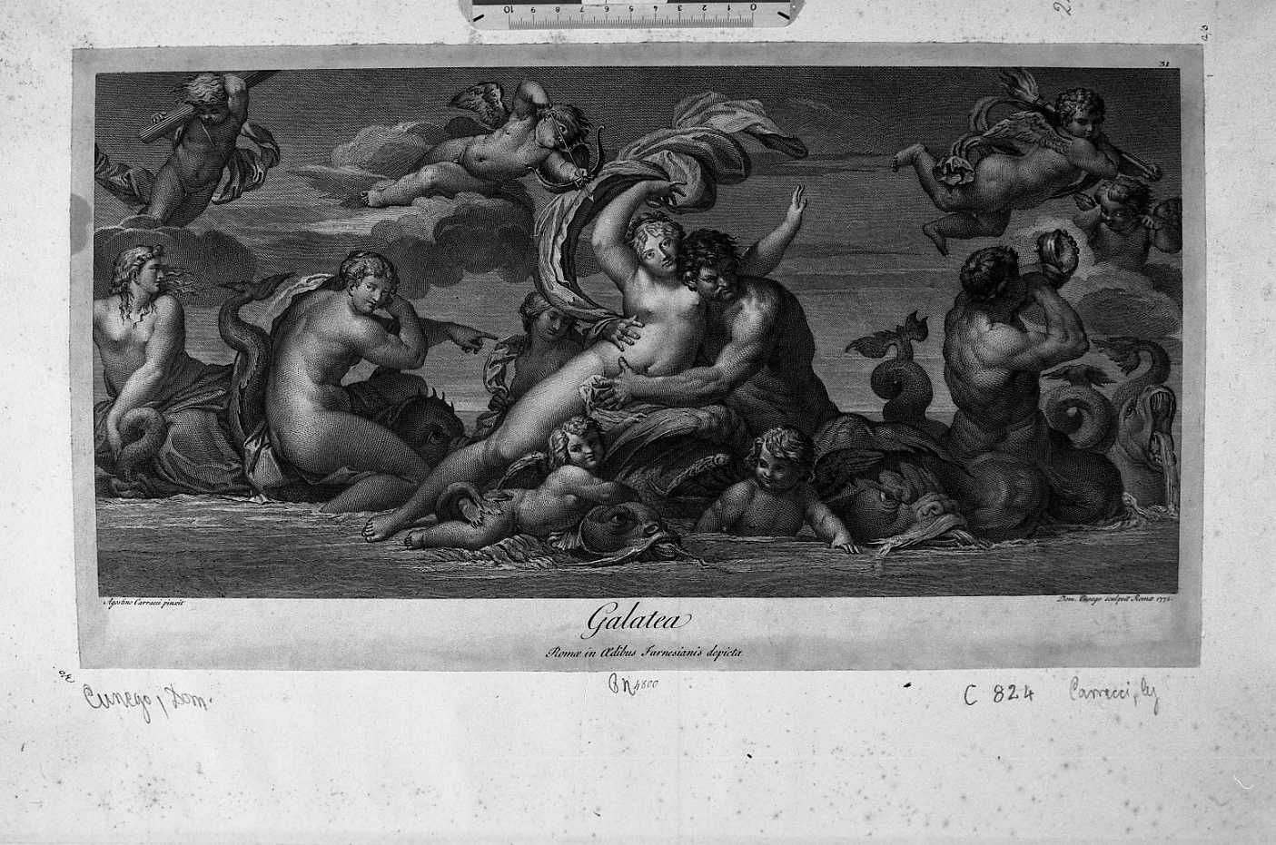 Peleo e Teti (stampa) di Carracci Agostino, Cunego Domenico (sec. XVIII)