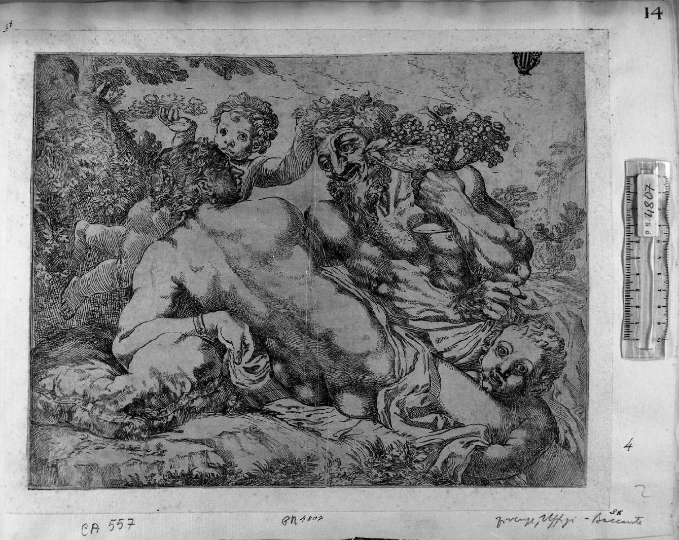La Baccante, Venere e Satiro con due amorini (stampa) di Carracci Annibale - ambito italiano (sec. XVII)