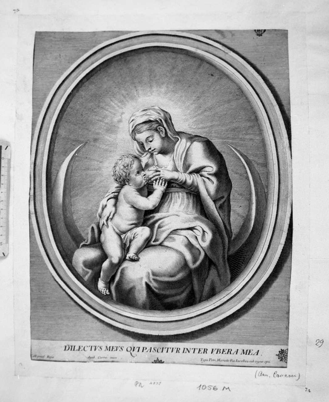 Madonna del latte, Madonna con Bambino (stampa smarginata) di Carracci Annibale - ambito italiano (sec. XVIII)